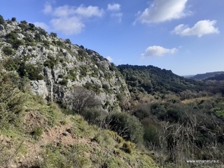 traro-30-12-2021 10-19-02